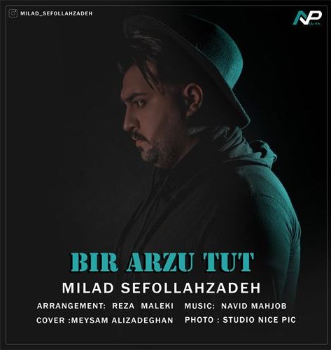 میلاد سیف الله زاده بیر آرزو توت